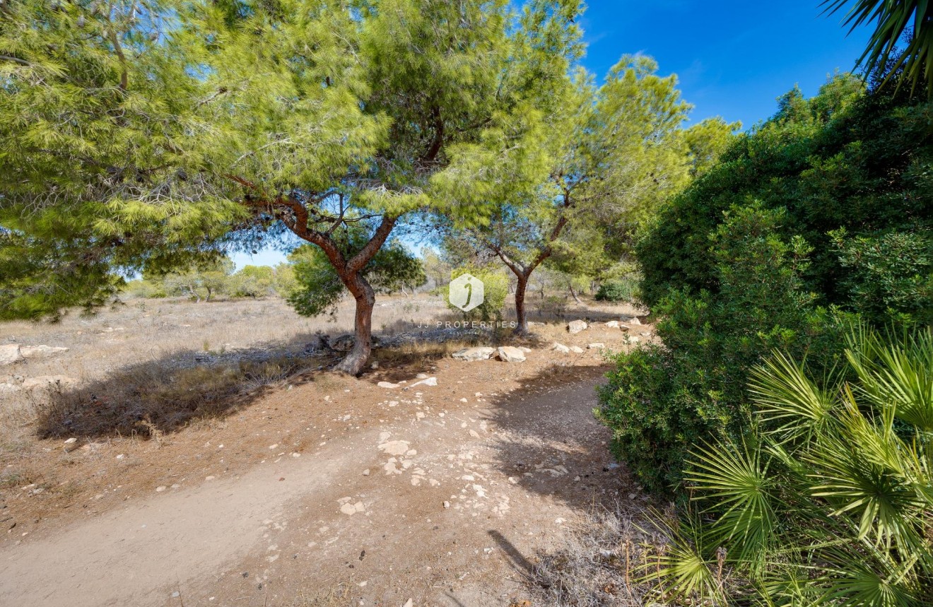 Z drugiej ręki - Szalet -
Torrevieja - La Siesta - El Salado - Torreta