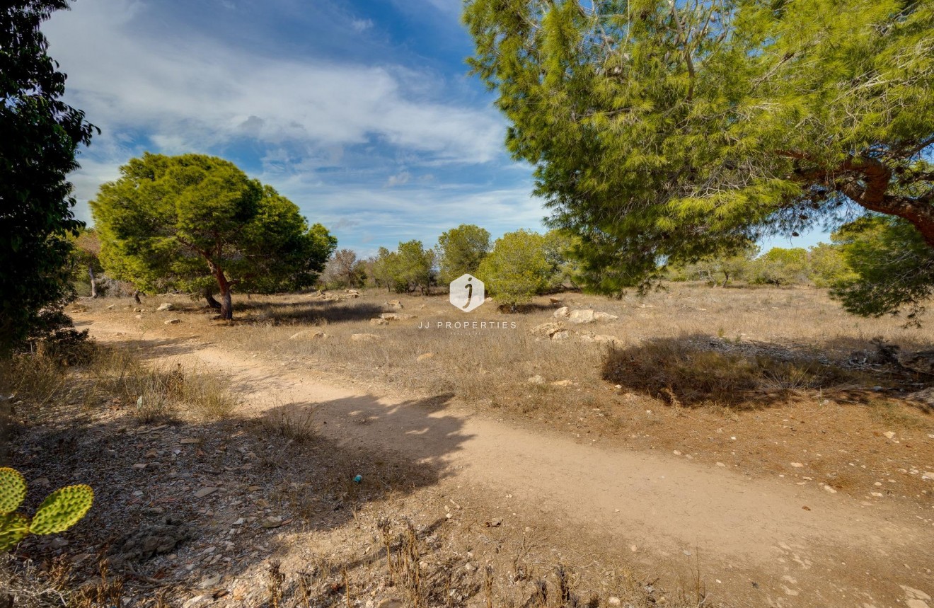 Z drugiej ręki - Szalet -
Torrevieja - La Siesta - El Salado - Torreta