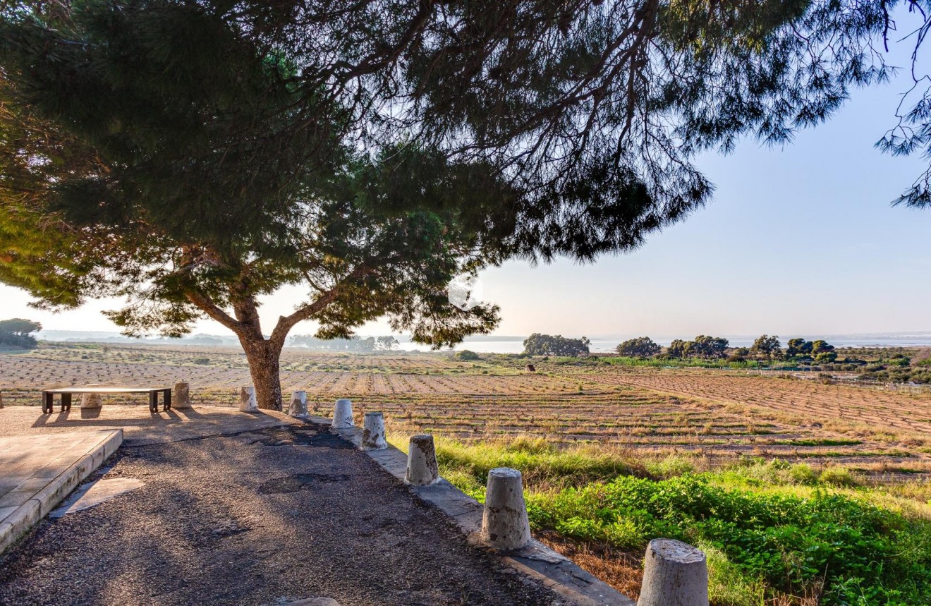 D'occasion - Bungalow -
Torrevieja - La Siesta - El Salado - Torreta