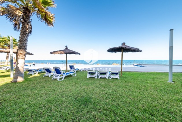 D'occasion - Appartement -
Torrevieja - Costa Blanca