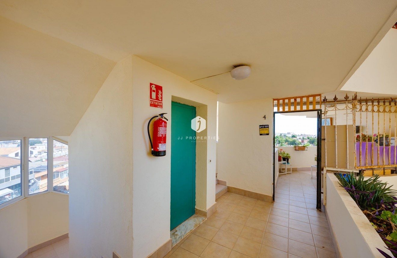 D'occasion - Appartement -
Torrevieja - Costa Blanca