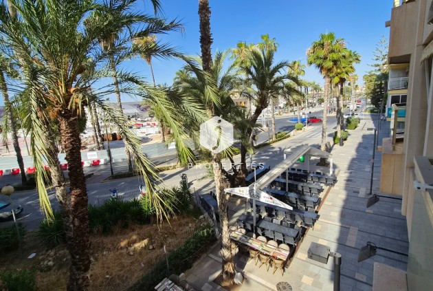 D'occasion - Appartement -
Torrevieja - Costa Blanca