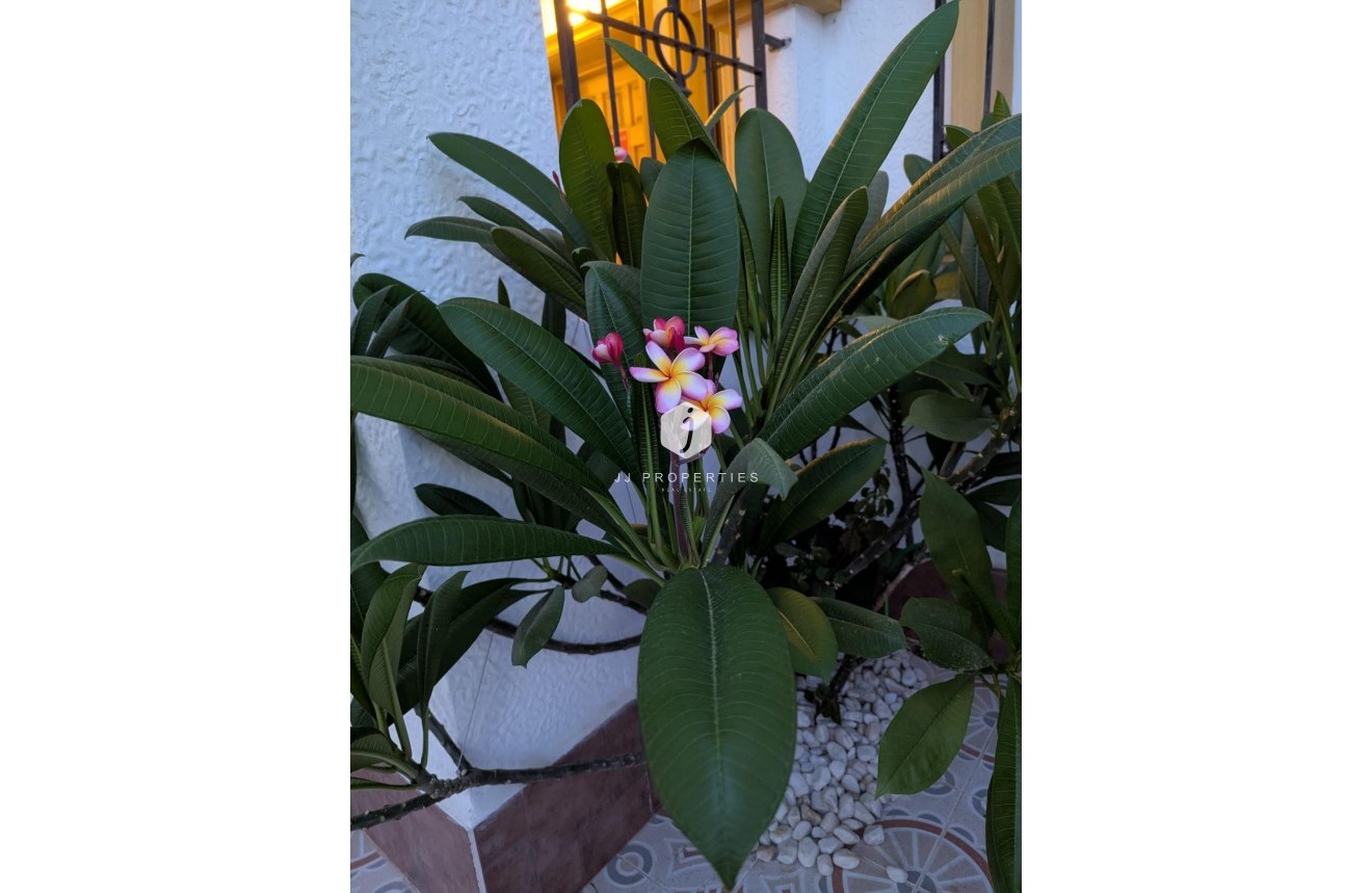 Resale - Chalet -
Torrevieja - Carrefour