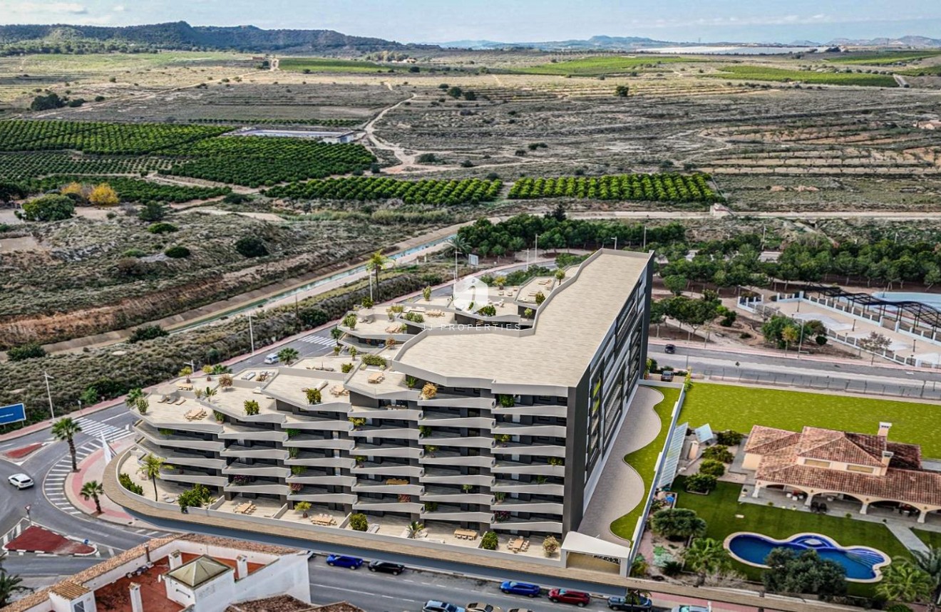 Nouvelle construction - Attique -
San Miguel de Salinas - Pueblo