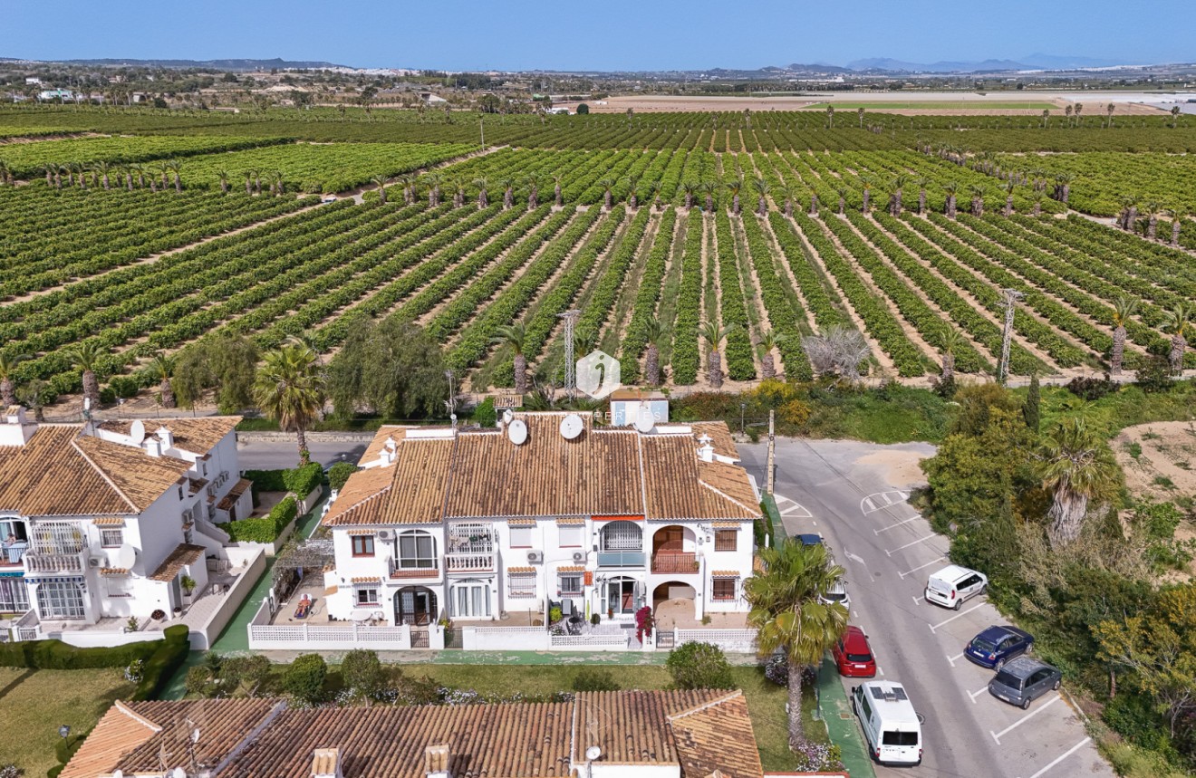 Segunda mano - Bungalow -
Torrevieja - Costa Blanca